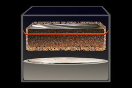 A type of battery first invented nearly five decades ago could catapult to the forefront of energy storage technologies, thanks to a new finding by researchers at MIT.
