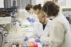 A new special subject, 1.S992 (Agricultural Microbial Ecology) from the Department of Civil and Environmental Engineering, took a group of undergraduate students to Israel over MIT’s Independent Activities Period to learn cutting-edge techniques used to study microbial communities.