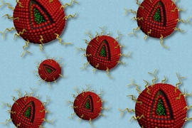 MIT researchers have designed brain-tumor-targeting nanoparticles that can carry two different drugs, one in the core and one in the outer shell.