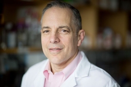 The T.5 Capacity in Medical Devices Program is co-led by Institute for Medical Engineering and Science (IMES) Director Elazer R. Edelman.