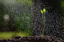 Seven new projects focusing on solutions to water and food systems challenges, led by 11 faculty principal investigators across five MIT departments, will be funded by the Abdul Latif Jameel World Water and Food Security Lab (J-WAFS) with two-year grants of up to $200,000.