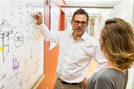 Michale Fee studies how the brain learns and generates complex sequential behaviors, with a focus on the songbird as a model system. 