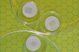 MIT researchers have developed a technique to fabricate large squares of graphemes that can filter out small molecules and salts.