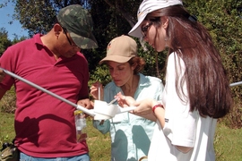 Researchers test the paper diagnostic.