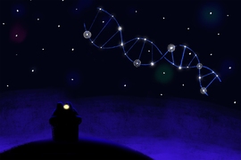 The common model of gene regulation imagines the nucleus of the cell as a large space in which molecules involved in DNA transcription float around seemingly at random.