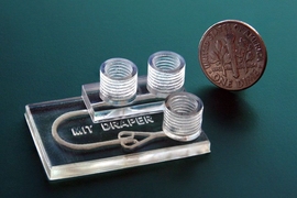 MIT researchers have 3-D printed a novel microfluidic device that simulates cancer treatments on biopsied tumor tissue — and keeps the tissue alive for days — so clinicians can better examine how individual patients will respond to different therapeutics.