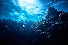 MIT engineers have now developed an algorithm that lets autonomous underwater vehicles weigh the risks and potential rewards of exploring an unknown region.
