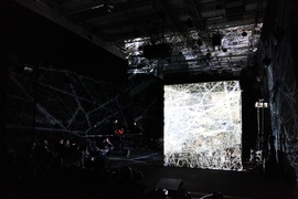 “'Spider’s Canvas' is truly the most collaborative project I’ve ever been involved in. It’s not just interdisciplinary but literally interspecies,” says Professor Evan Ziporyn.