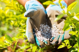  For tropical growing regions in Brazil and some countries in Africa, differing soil and rock compositions make for a poor match for the fertilizers that are currently on the market. J-WAFS-funded MIT researchers seek to meet this challenge with a new type of fertilizer, and call for more interdisciplinary research to help close yield gaps.  