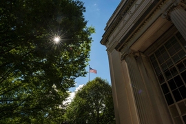 MIT-building-trees