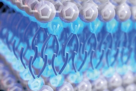 Large anions with long tails (blue) in ionic liquids can make them self-assemble into sandwich-like bilayer structures on electrode surfaces. Ionic liquids with such structures have much improved energy storage capabilities.