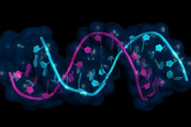 MIT chemical engineers have developed a new series of lipid nanoparticles to deliver RNA vaccines.