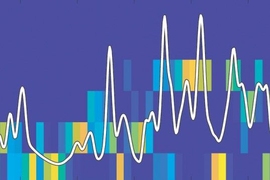 An MIT study is the first to show that a brain region called the lateral septum directly encodes movement information such as speed. 