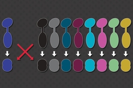 MIT researchers have found a way to generate many pairs of signaling proteins that don’t cross-talk with each other or with naturally occurring signaling proteins found in bacterial cells.