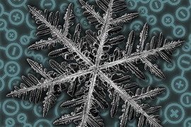 The repeating patterns in a snowflake are a classic example of beautiful, geometric fractals. Now MIT scientists have discovered fractal-like patterns in the magnetic configurations of a quantum material for the first time.
