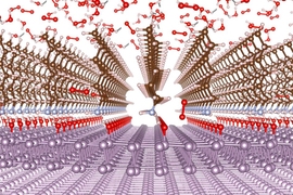This diagram shows an edge-on view of the molecular structure of the new coating material. The thin layered material being coated is shown in violet at bottom, and the ambient air is shown as the scattered molecules of oxygen and water at the top. The dark layer in between is the protective material, which allows some oxygen (red)  through, forming an oxide layer below that provides added protecti...