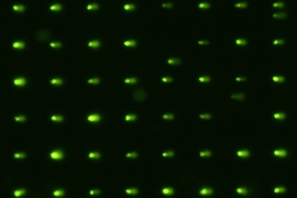 MIT chemists have devised a way to observe the transition state of the chemical reaction that occurs when vinyl cyanide is broken apart by an ultraviolet laser.