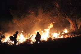 Scientific evidence that’s been accumulating for decades points to ways in which suppressing fire leads to unhealthy forests.