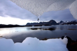 The MIT Joint Program on the Science and Policy of Global Change engaged dozens of decision-makers in the financial sector and industry in a two-hour Zoom discussion on climate-related financial risk.