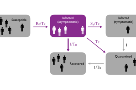 Researchers with the IDSS Covid-19 Collaboration (Isolat) are designing a control model for testing and isolating members of communities like MIT’s to reduce Covid-19 infection.