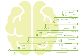 Computing power and the brain