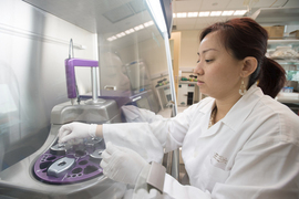 SMART AMR researcher Hooi Linn Loo prepares immune cells.