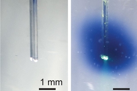 Photo of a thin optic fiber and photo of the same fiber turned on with blue light coming out of it
