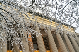 Photo of 77 Mass Ave and a snow-covered tree
