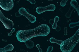 microbes graphic