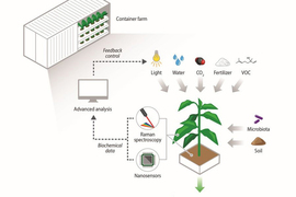 Illustration of a feedback loop with plant inputs (light, water, etc.) including nanosensors in the plant soil, which loop back to inform future agricultural inputs