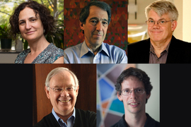 Photos of Dan Freedman, Robert Griffin, Larry Guth, Stephen Morris, and Gigliola Staffilani