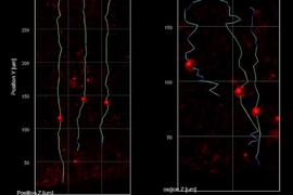 On a black backround, two line graphs show red dots superimposed on three roughly vertical lines. In the chart at left, the lines are nearly vertical, while the lines in the chart at right are more zig-zaggy.