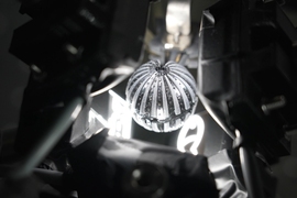 Close-up photo of an amphibious eye, which looks like a ribbed sphere 