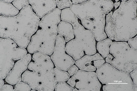 A microscopic view of metal surface captured with a scanning electron microscope, revealing intricate microstructures and grain boundaries