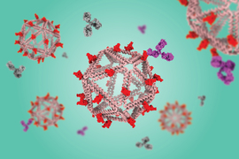 Graphic of DNA shaped as icosahedrons, with one in the center and four in blurry background
