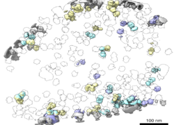 In a roughly spherical pattern, small blobs appear against a light gray background. Some are colored in pastel colors, others are just outlines