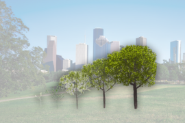 Photo illustration of a tree in a park seen at five growth stages, with a city skyline in the background