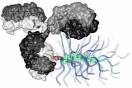 Chemotherapy drugs carried by a bottlebrush polymer
