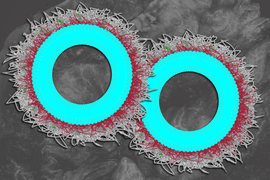 A nanoparticle designed to deliver immune-stimulating molecules to ovarian cancer cells