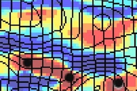In these contour maps of the visual center in the brain, variations in color indicate how much individual neurons are oriented toward a particular feature of a visual scene.