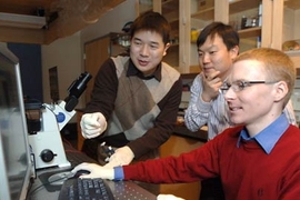 Graduate student Jianping Fu (left), Professor Jongyoon Han and postdoc Reto Schoch have created a microchip system that allows speedy separation and sorting of biomolecules.