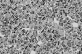 MIT researchers are working on ways to modify these gold nanorods so they could be used as drug delivery or anti-tumor devices.
