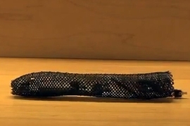 tube-shaped robot