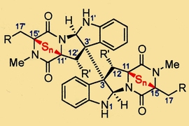 MIT chemists designed many variants of epipolythiodiketopiperazine (ETP) alkaloids and tested them for anticancer activity. A representative ETP structure is shown.