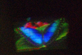 A hologram of a butterfly, displayed on the MIT researchers' new color monitor.