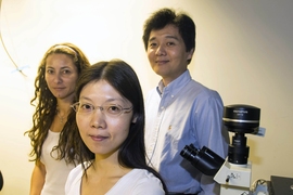 From left: Research scientist Monica Diez Silva, postdoc Sarah Du and principal research scientist Ming Dao, all of MIT's Department of Materials Science and Engineering.