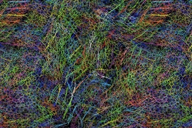 A snapshot from a molecular dynamics simulation shows the geometric order and disorder characteristics of eumelanin aggregate structures. The different variations of the eumelanin molecules are shown in different colors for clarity.
