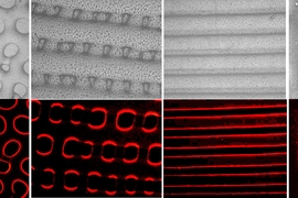 Images show textures (top) and fluorescent light (bottom) produced by the new synthetic elastomer material that can mimic some of the camouflage abilities of octopuses and other cephalopods.