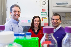 Left to right: Ron Weiss, professor of biological engineering; Domitilla Del Vecchio, associate professor of mechanical engineering; and Deepak Mishra, MIT graduate student in biological engineering.