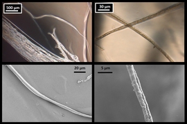 Microscope images of lab-produced fibers confirm the results of the MIT researchers' simulations of spider silk. At top are optical microscope images, and, at bottom, are scanning electron microscope images. At left are fibers 8 micrometers across, and, at right, are thinner, 3 micrometer fibers.
